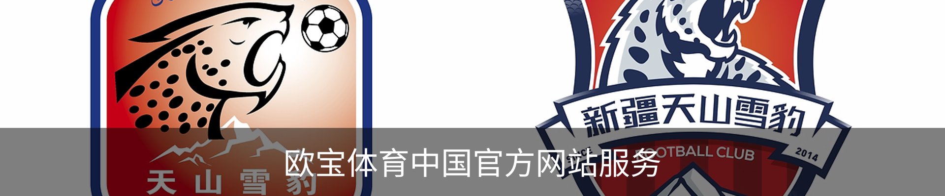 欧宝体育中国官方网站服务